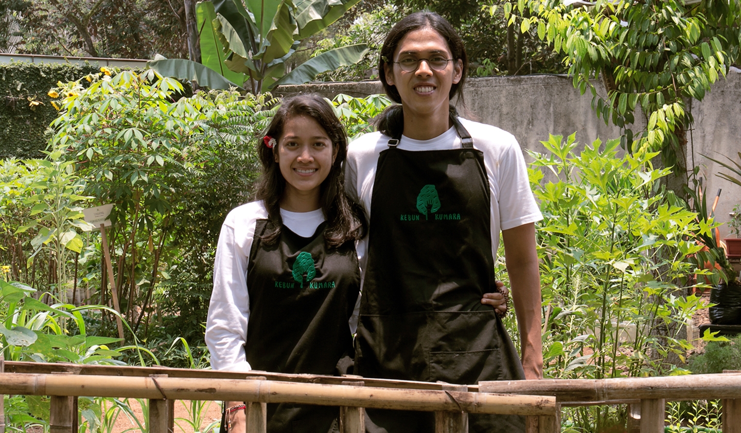 Berkebun Di Ladang Beton